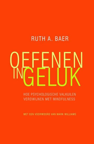 Oefenen in geluk - Ruth A. Baer 9789057124129, Verzenden, Gelezen, Ruth A. Baer