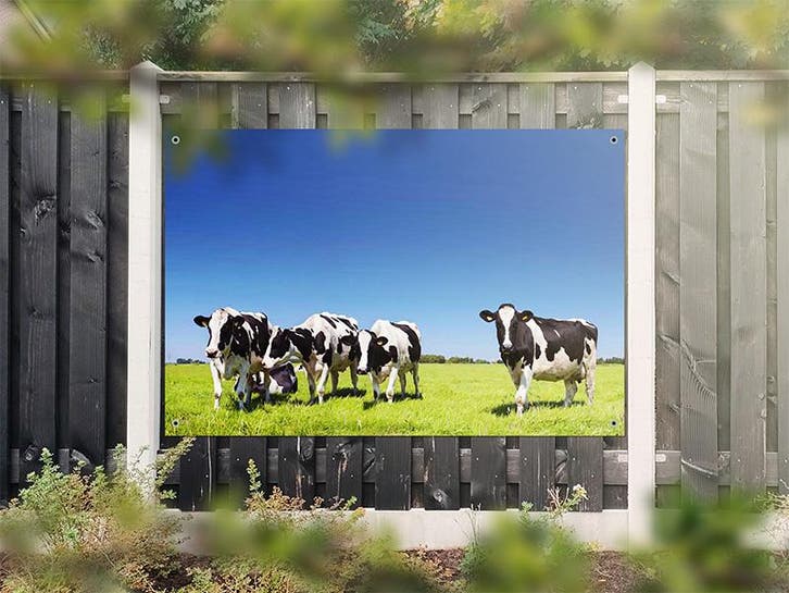 NR 1317: Tuinposter zwart-witte koeien in wei 120x180cm, Tuin en Terras, Tuinwanddecoratie, Nieuw