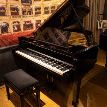 Yamaha C3 PE messing vleugel - 3370155, Muziek en Instrumenten, Piano's, Nieuw, Zwart, Vleugel