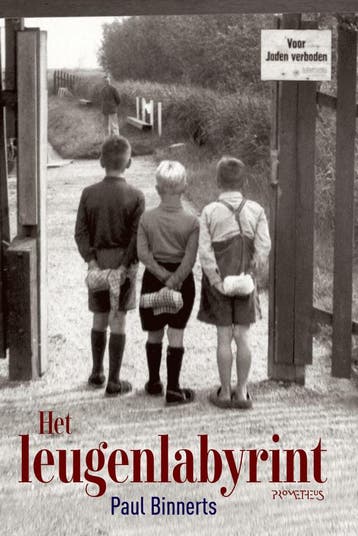 Het leugenlabyrint (Goed), Boeken, Verzenden, Gelezen, Paul Binnerts