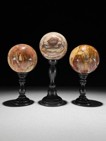 Prachtige set van 3 versteende houten bollen op maat