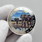 Somalië. 100 Shilling 2026 – African Wildlife Series –