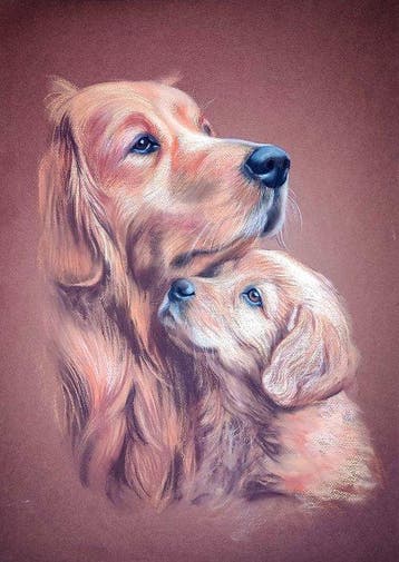 Selena Dar - Golden Retriever with puppy