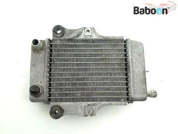 Radiateur Honda SES 150 Dylan (SES150), Motoren, Verzenden, Gebruikt