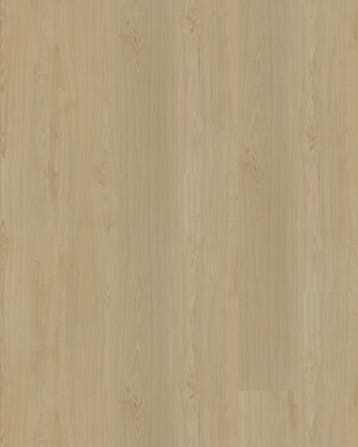 Klik pvc rechte plank  |  Belakos Portico 550 Rigid Click, Ophalen, Nieuw