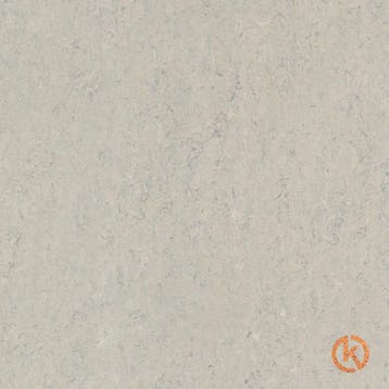 Kurk Klikvloer Linoleum - Limestone - per m2, Ophalen of Verzenden, Nieuw