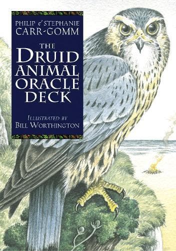 The Druid Animal Deck, Boeken, Verzenden, Nieuw