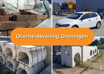 Overheidsveiling Groningen, Nieuw