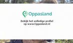 Daan zoekt een oppas in Soest voor 2 kinderen.