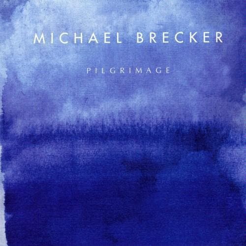 cd - Michael Brecker - Pilgrimage, Cd's en Dvd's, Cd's | Overige Cd's, Zo goed als nieuw, Verzenden