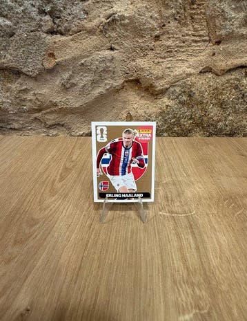 Panini World Cup Stickers Erling Haaland Adesivo extra, Nieuw