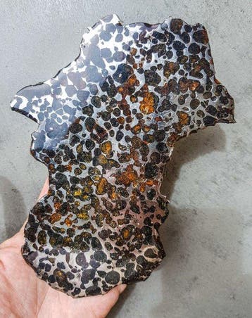 Pallasiet Rare XXL Endcut 407 gram - Hoogte: 18.6 cm -