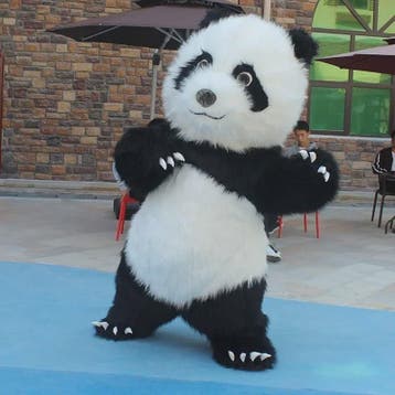 Opblaasbaar Panda Kostuum - Volwassen Maat voor Feestjes, Ha, Verzenden, Nieuw