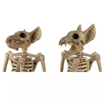 Malatec Vleermuis Skelet - Griezelige Halloween Decoratie..., Ophalen of Verzenden, Nieuw