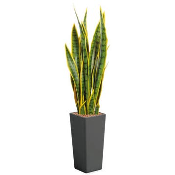 Sansevieria kunstplant, H115cm, Ophalen of Verzenden, Overige soorten, 100 tot 150 cm