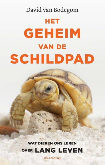 Het geheim van de schildpad - David van Bodegom - 9789045038, Verzenden, Nieuw