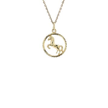 Gouden hanger paard 14 karaat, Verzenden, Zo goed als nieuw, Goud