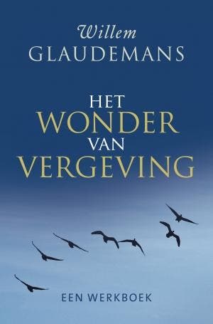 Het wonder van vergeving - Willem Glaudemans 9789020212341, Boeken, Esoterie en Spiritualiteit, Verzenden, Zo goed als nieuw, Willem Glaudemans