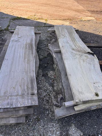 5X Boomstambladen, complete partij 270,- REF 800, Doe-het-zelf en Verbouw, Nieuw, Ophalen of Verzenden, 250 tot 300 cm, Plank