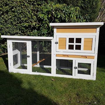Konijnenhok Villa Wit/Bruin Dennenhout Afmeting: 147x50x80cm, Verzenden, Nieuw