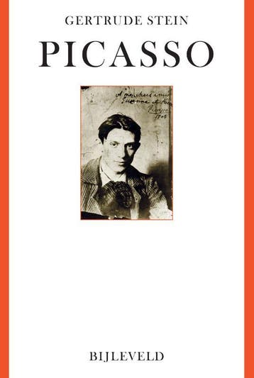 Picasso | Gertrude Stein | Nieuw, Ophalen of Verzenden, Nieuw, Gertrude Stein