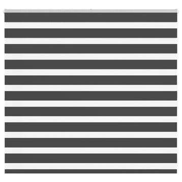vidaXL Zebra rolgordijn 165x100 cm stofbreedte 160,9 cm, Verzenden, Nieuw, Zwart