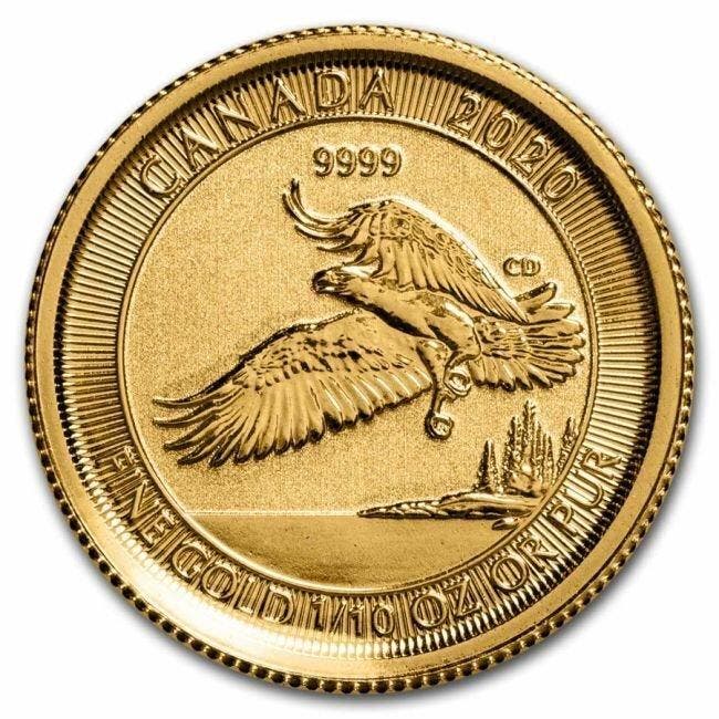 Canada. 5 Dollars 2020 1/10 oz $5 CAD Canada Gold North, Postzegels en Munten, Edelmetalen en Baren