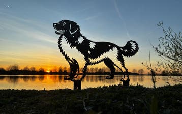 Friese Stabij - Levensecht, Verzenden, Nieuw