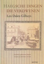 Haegsche dingen die verdwenen 9789062912599 Dalen Gilhuys, Verzenden, Zo goed als nieuw, Dalen Gilhuys