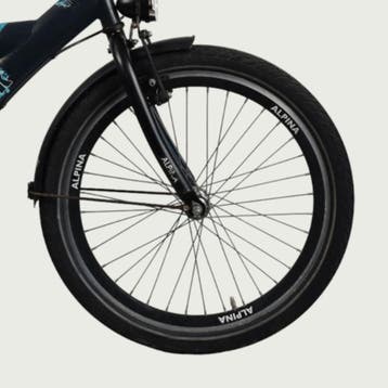 Alpina kinderfiets 22 inch, Ophalen of Verzenden, Gebruikt, Alpina