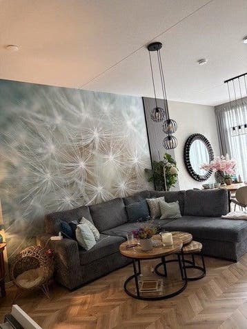 Te huur: Appartement Mahoniehout in Zaandam, Noord-Holland, Zaandam, Appartement
