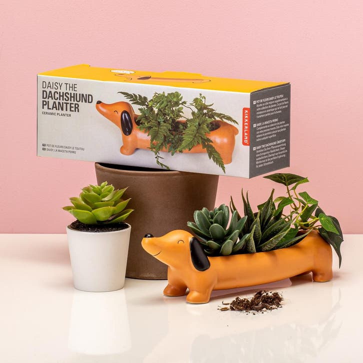 Huisdier Bloempot - Teckel, Tuin en Terras, Bloempotten, Verzenden