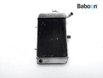 Radiateur Yamaha CZD 300 X-Max 2017 (SH081 B74 CZD300), Motoren, Onderdelen | Yamaha, Verzenden, Gebruikt