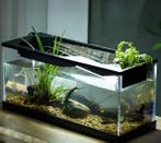 Aquarium met LED en cyclussysteem – Acryl desktop model, Verzenden, Nieuw