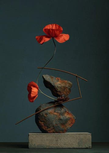 Inna Etuvgi - EQUILIBRIUM - Catawiki Special Edition - 1/25