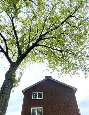 Te huur: Appartement Van Hasseltlaan in Hilversum, Noord-Holland, Hilversum, Appartement