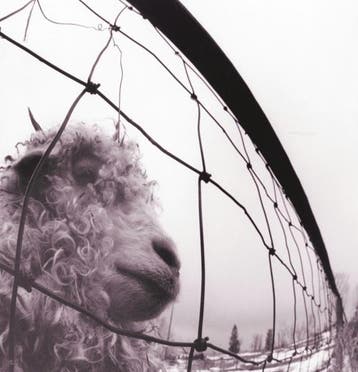 lp nieuw - pearl jam - VS. VINYL EDITION (REMASTERED) (ni..., Cd's en Dvd's, Verzenden, Zo goed als nieuw, Overige formaten