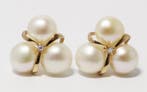 Zonder minimumprijs - Oorbellen - 14 karaat Geel goud Parel, Nieuw