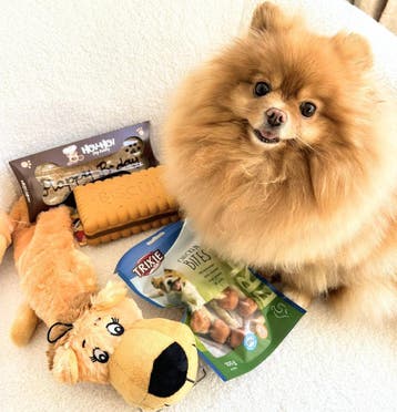 Sanal Hartenblik Home Is Where My Dog Is Snoepjes 60 gr, Verzenden, Nieuw