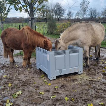 XXL Slowfeeder paard NU EXTRA GOEDKOOP bak incl. frame/net, Ophalen of Verzenden, Nieuw