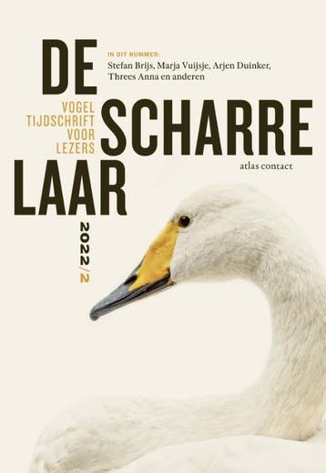 2022/2 |  | Nieuw, Ophalen of Verzenden, Nieuw