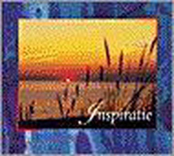 INSPIRATIE       BOEK & CD - PIET POLDERMAN 9789033813436, Verzenden, Zo goed als nieuw, PIET POLDERMAN
