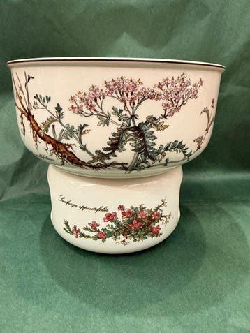 Villeroy & Boch - Botanica - Eetservies (2) - Porselein -