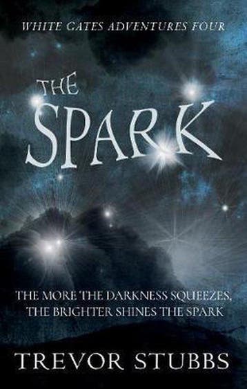 The Spark - Trevor Stubbs 9781788035835, Verzenden, Zo goed als nieuw, Trevor Stubbs