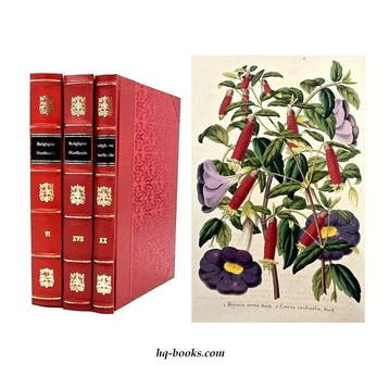 La Belgique Horticole - Journal des jardins, des serres et
