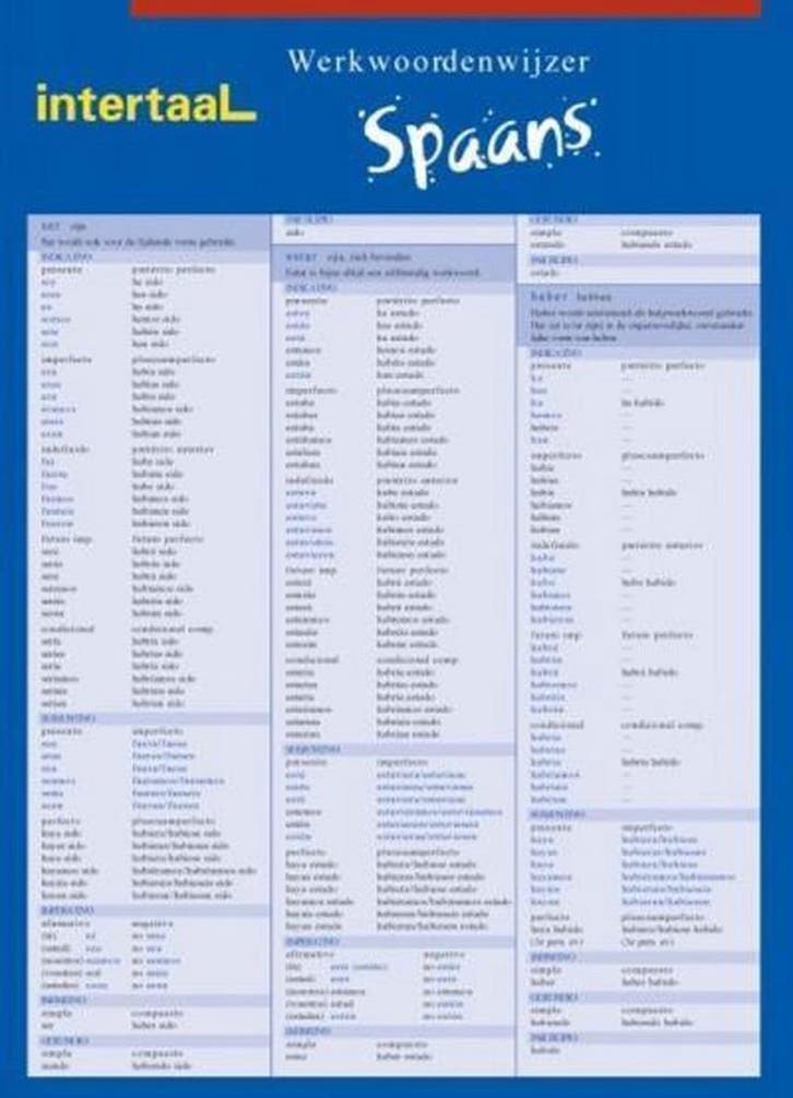 Werkwoordenwijzer Spaans 9789054516859 Y. Madarnas Acena, Boeken, Schoolboeken, Gelezen, Verzenden