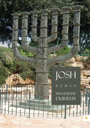 Josh 9789048426805 Wendeline Durieux, Verzenden, Zo goed als nieuw, Wendeline Durieux