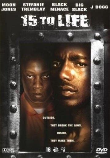 15 to Life - DVD (Films (Geen Games)), Ophalen of Verzenden, Zo goed als nieuw
