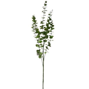 Eucalyptus tak Groen 88 cm per stuk, Ophalen of Verzenden, Nieuw