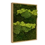 Vintlux Mosschilderij Lappenmos-Rendiermos-Bolmos 80x120 cm, Nieuw